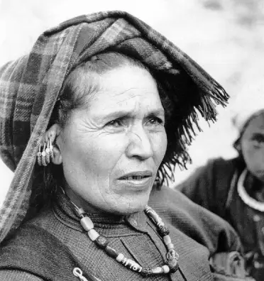 women of the chipko movement